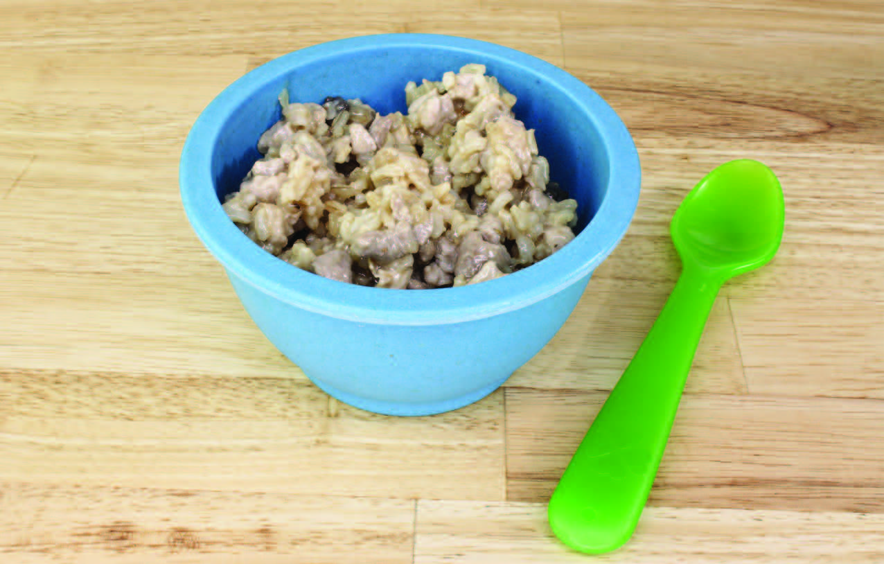 Pork Loin With Rice And Gravy